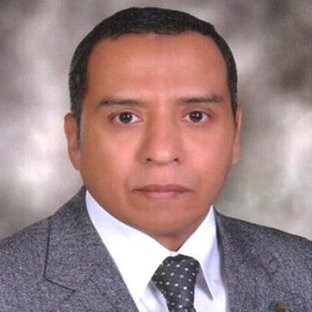 Elsayed Hassan CMA, MBA,ACPA