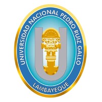 Universidad Nacional Pedro Ruíz Gallo