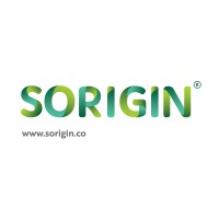 Sorigin Group
