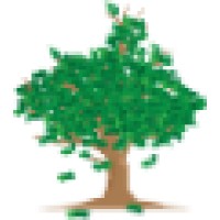 Money Tree Financial Solutions