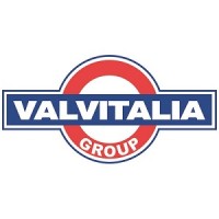 VALVITALIA GROUP