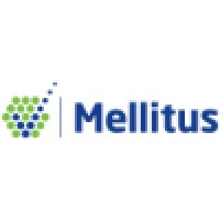 Mellitus, LLC