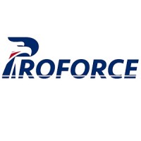 ProForce...Your Partner for Mission Critical Talent