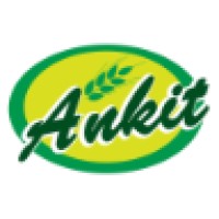 Ankit India Limited