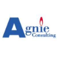 Agnie Consulting