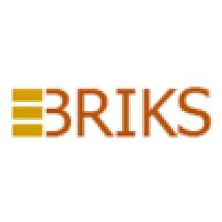 EBriks Infotech Pvt. Ltd.