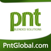 PNT Global IT Consultants since June, 2000