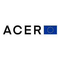 EU Agency for the Cooperation of Energy Regulators (ACER)