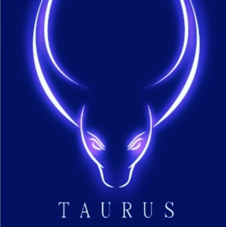 TAURUS Ltd