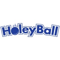 Holeyball