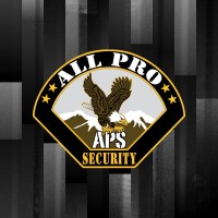 All Pro Security LLC