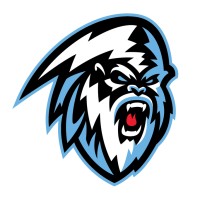 Winnipeg ICE Hockey Club