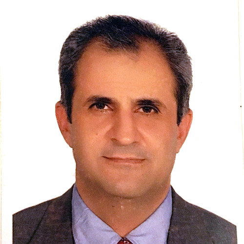 Hassan Alipour