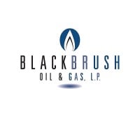BlackBrush Oil & Gas, LP