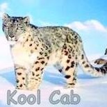 Leopard kool cab Services
