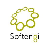Softengi - Delivers Your Success