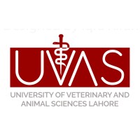 University of Veterinary and Animal Sciences, Pakistan