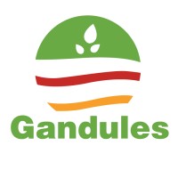 Gandules Inc