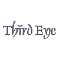 Third Eye Solutions Inc.