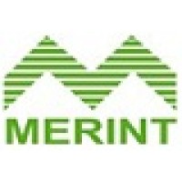 The Merint Group