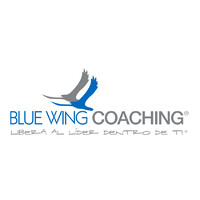 Blue Wing Coaching