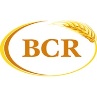 BCR Companies