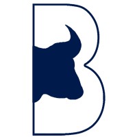 Blue Buffalo Consulting Ltd