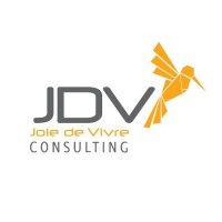 JDV Consulting