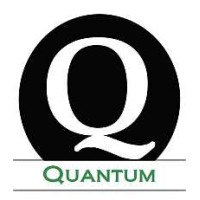 Quantum Professional Search