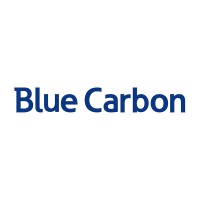 Blue Carbon Power-Official