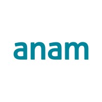 ANAM Technologies Ltd