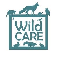 WildCare Inc