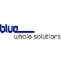 BlueWhale Solutions Inc.