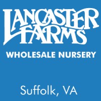 Lancaster Farms Inc