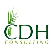 CDH Consulting