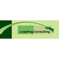 Leapfrog Consulting