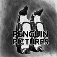 Penguin Pictures