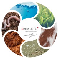 Penergetic International AG