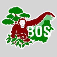 Borneo Orangutan Survival (BOS) Foundation