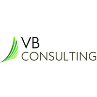 VB Consulting Services