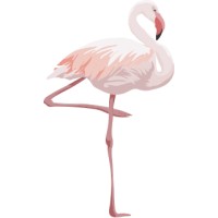 Sassy Flamingo Group