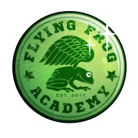 Flying Frog Academy