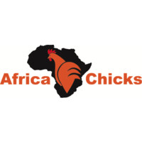 Africa Chicks