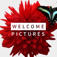 Welcome Pictures