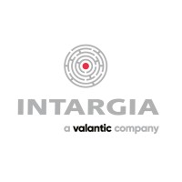 INTARGIA Managementberatung