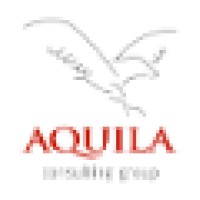 Aquila Consulting Group