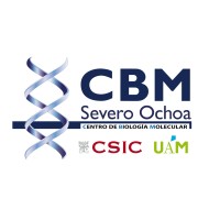CBMSO-CNB