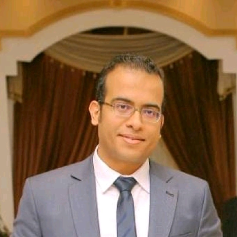 Hany Shendy Mohamed Farag