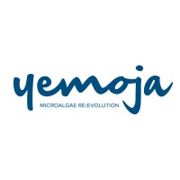 Yemoja Ltd.