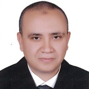 Waiel M. Hamza